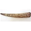 Image 2 : LARGE SCRIMSHAW TUSK REPLICA