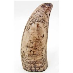SMALL SCRIMSHAW TUSK REPLICA