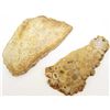 Image 1 : LOT OF 2 FOSSILIZED CORAL PIECES