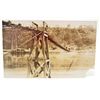 Image 1 : VINTAGE RPPC REAL PHOTO POSTCARD OF MEN WALKING A BRIDGE