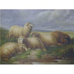 DAVIS, W, 19TH CENTURY, study of five sheep resting beside a pool, storm cloud gathering overhead