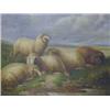 DAVIS, W, 19TH CENTURY, study of five sheep resting beside a pool, storm cloud gathering overhead