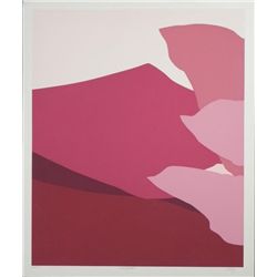 Doug Danz Signed Lozano A Abstrct Landscape Print Proof