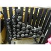 Image 2 : Weight Rack w/Weights