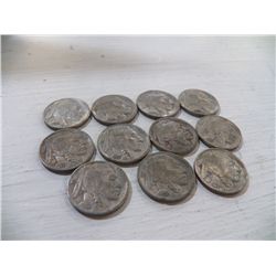 11 Buffalo Nickels Unsearched