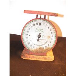 American Family Scale