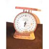 Image 1 : American Family Scale
