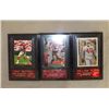 Image 3 : 3-49ers  Baseball Card Plaque