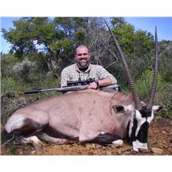 South African Plains Game Safari