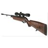 Image 1 : Weirauch Air Rifle HW 35 E Donated by Airguns of Arizona