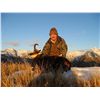 Image 1 : South Pacific Chamois Hunt - South Island of New Zealand