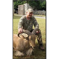 Texas Aoudad Hunt - Rio Bonito Ranch