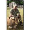 Image 1 : Texas Aoudad Hunt - Rio Bonito Ranch