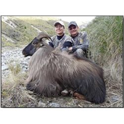 South Pacific Tahr Hunt - Fraser Safaris New Zealand