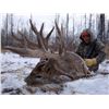 Image 2 : Silvertine Trophy Whitetail Hunt - Saskatchewan