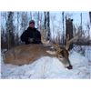 Image 3 : Silvertine Trophy Whitetail Hunt - Saskatchewan