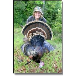 Rio Grande Wild Turkey Hunt - Norcal Trophy Hunting