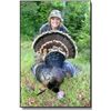 Image 1 : Rio Grande Wild Turkey Hunt - Norcal Trophy Hunting