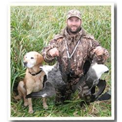 Four Flyways Wingshooting