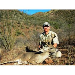 Live Auction - Bonus Hunt - Mario Rogel