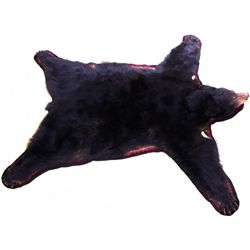 Large black bear rug shows good overall condition,