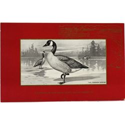 Scarce DuPont shotgun shell case insert