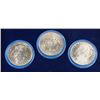 Image 1 : Cased set of 3 Morgan Silver Dollars
