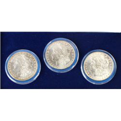 Cased set of 3 Morgan Silver Dollars