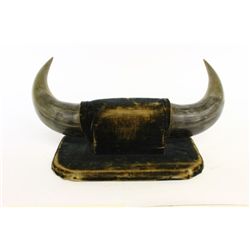 Early pair mounted buffalo horns 15" tip to tip.