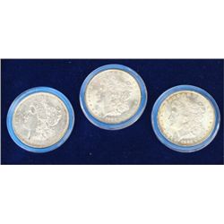 Cased set of 3 Morgan Silver Dollars