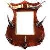 Image 1 : Original Victorian period horn mirror with sheild