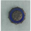 Image 3 : U.S. WWI & WWII INSIGNIAS IN RIKER MOUNT
