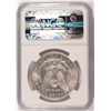 Image 4 : 1882 CC MORGAN DOLLAR NGC MS61