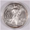 Image 1 : 2004 AMERICAN SILVER EAGLE, MS-69+  IN CAPSULE