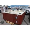 Image 1 : CAL SPAS PLATINUM SERIES HOT TUB WITH WHITE PEARLESCENT INTERIOR AND CAL MIST 8' CABINET C/W