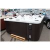 Image 1 : CAL SPAS PLATINUM SERIES HOT TUB WITH STERLING SILVER INTERIOR AND 8' PREFERRED SMOKE CABINET C/W