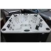 Image 2 : CAL SPAS PLATINUM SERIES HOT TUB WITH STERLING SILVER INTERIOR AND 8' PREFERRED SMOKE CABINET C/W