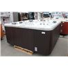 Image 1 : CAL SPAS PLATINUM SERIES HOT TUB WITH OYSTER OPAL INTERIOR AND PREFERRED SMOKE 8' CABINET, C/W