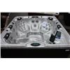 Image 2 : CAL SPAS PLATINUM SERIES HOT TUB WITH OYSTER OPAL INTERIOR AND PREFERRED SMOKE 8' CABINET, C/W
