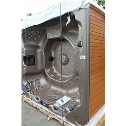 CAL SPAS CONNECT SELECT SERIES HOT TUB WITH SAHARA INTERIOR AND PREFERRED MIST 8'CABINET C/W