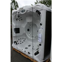 CAL SPAS ESCAPE SERIES HOT TUB WITH STERLING SILVER INTERIOR AND PREFERRED MIST 7.5' CABINET C/W