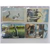 Image 3 : Portfolio of Animal, Bird, and Reptile Post Cards