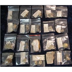 1381. Attractive group of (20) Different Fossils all of which have been researched and labeled.