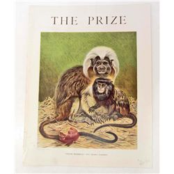 C. 1890S "PINCHE MARMOSET & NEGRO TAMARIN" COLOR PRINT