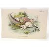 Image 1 : C. 1890S "STOAT IN WINTER DRESS" LITHOGRAPH PRINT