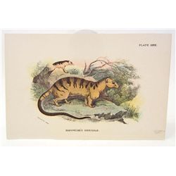 C. 1890S "HARDWICKES HEMIGALE" LITHOGRAPH PRINT