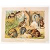 Image 1 : 1880 ANTIQUE COLOR LITHOGRAPH ANIMAL PRINT