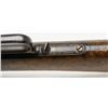 Image 17 : Winchester Model 1873 musket in .44-40 caliber  showing stud mounting for a saber type bayonet and  