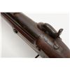Image 5 : Harpers Ferry Model 1841 Mississippi rifle in .54  caliber with folding long-range style rear sight 