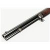Image 11 : Winchester Model 1876 special ordered short rifle  in .50-95 EX. Caliber with 20” round barrel, full